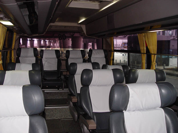 Deluxe Limousine Bus (26555021)